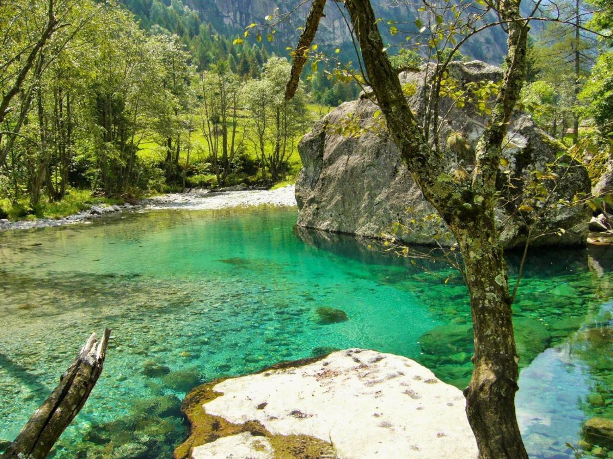 Appartamento Il Nido Tra Verde E Natura Berbenno di Valtellina Eksteriør bilde