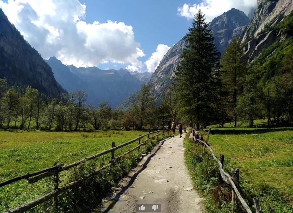 Appartamento Il Nido Tra Verde E Natura Berbenno di Valtellina Eksteriør bilde
